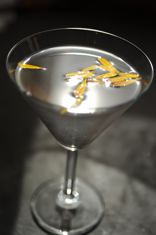 martini 3